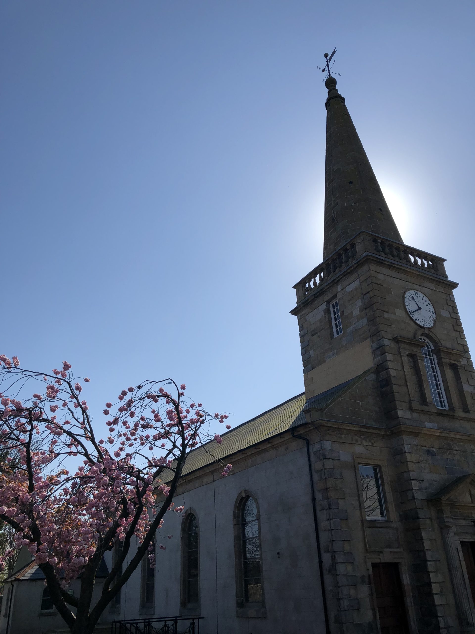 April Cherry Blossom and sun