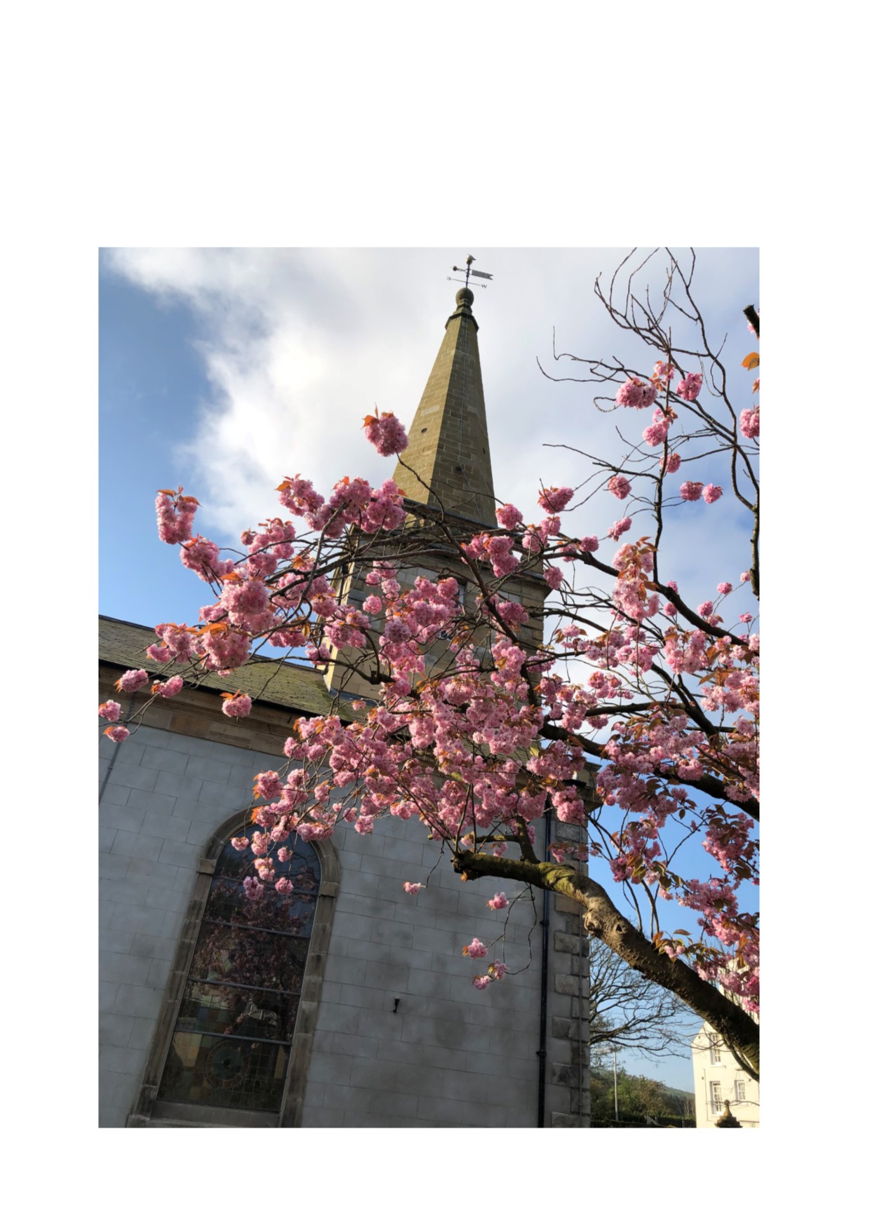 Holy Trinity Spring web