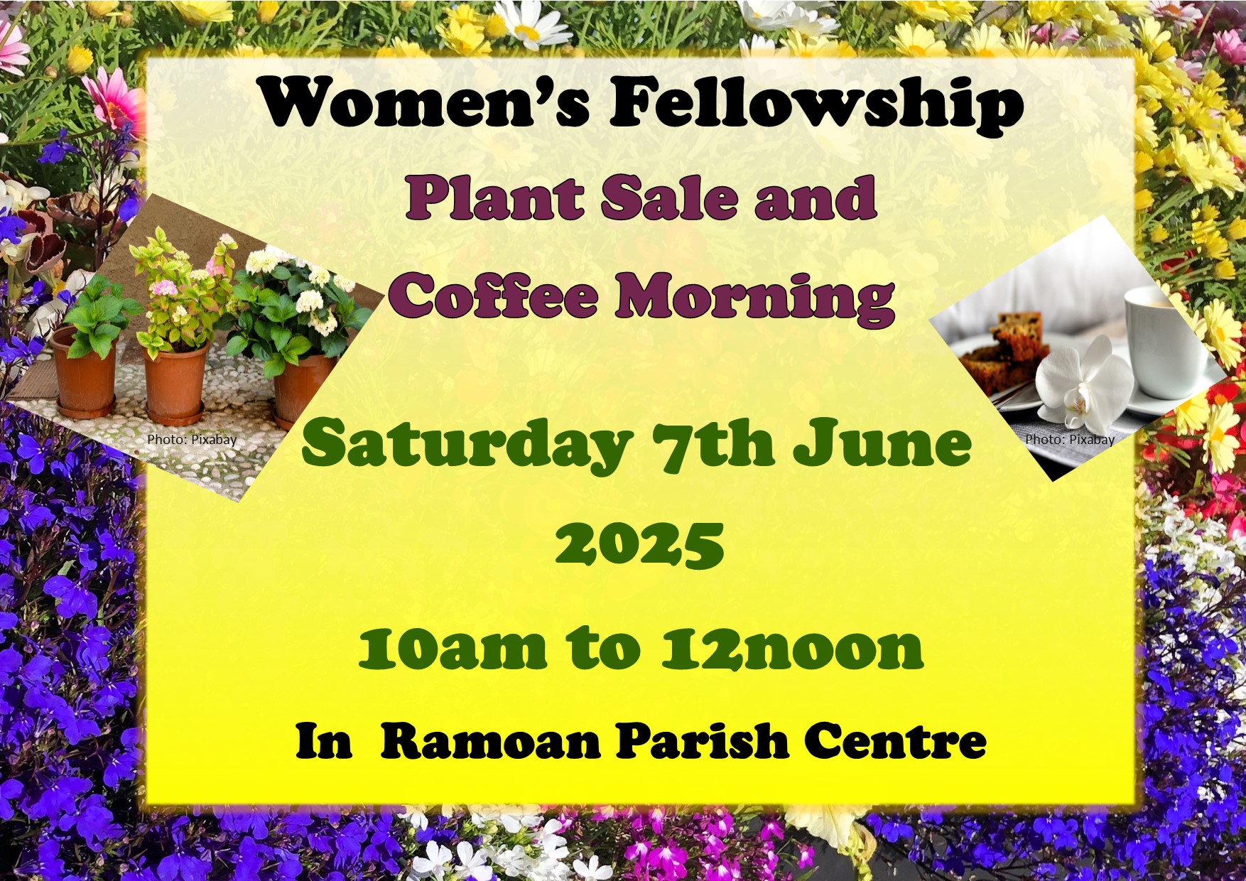 Womens’ fellowship plant and coffee morning 7th June 2025